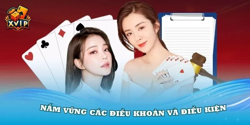 Điều khoản điều kiện XVIP bao gồm nhiều nội dung liên kết chặt chẽ