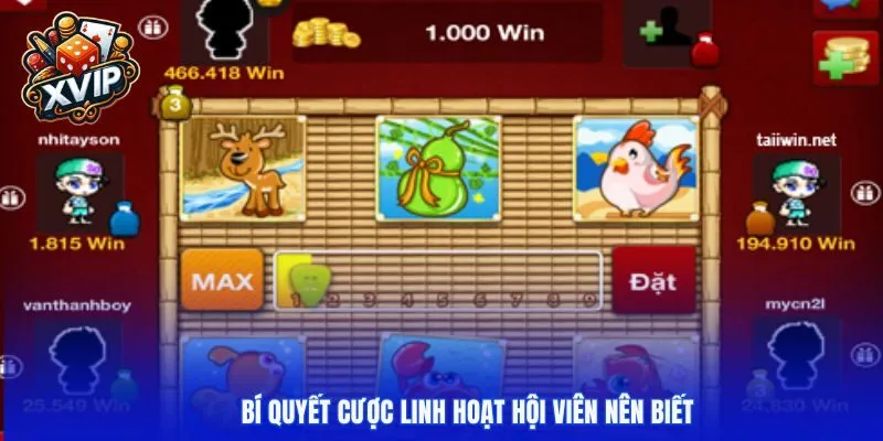 Bí quyết cược linh hoạt hội viên nên biết