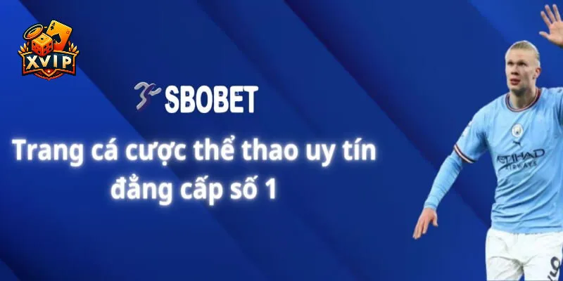 Sảnh giúp người chơi có thể xuống tiền mọi môn thi đấu