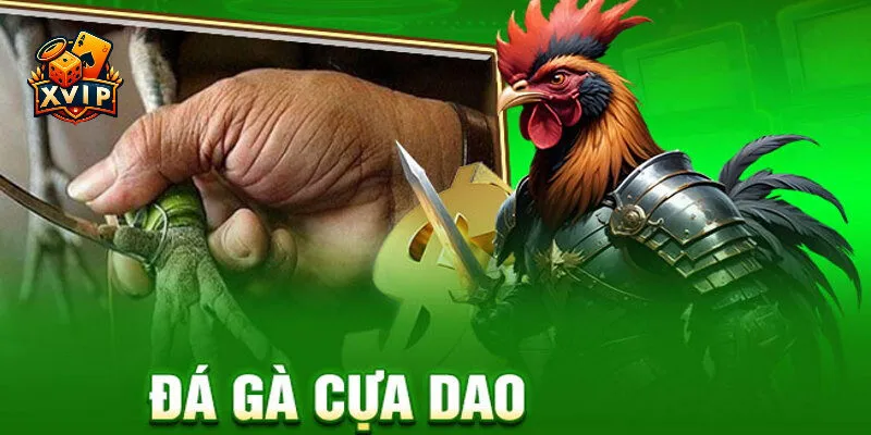 đá gà cựa dao