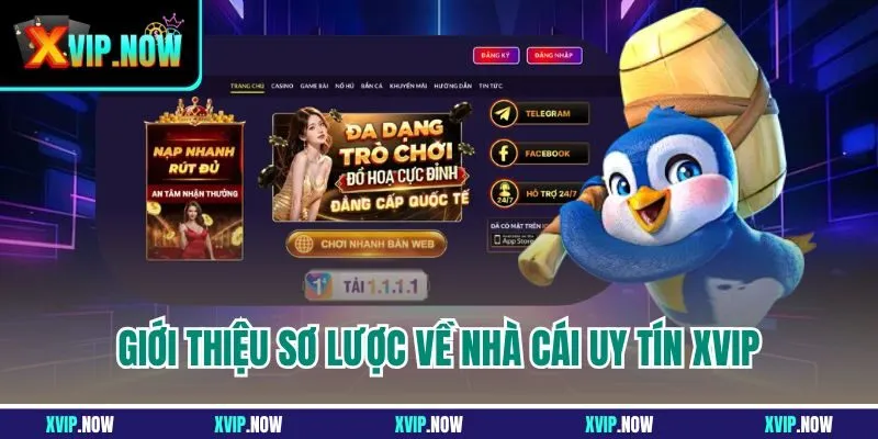 Giới thiệu sơ lược về nhà cái uy tín XVIP