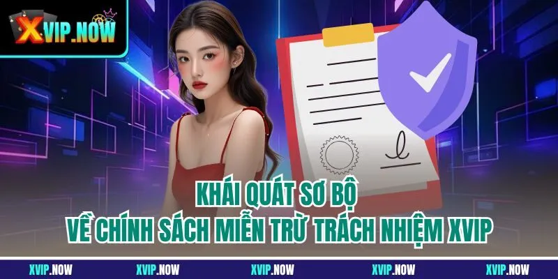 Khái quát sơ bộ về chính sách miễn trừ trách nhiệm XVIP